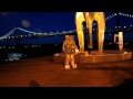 Robot12