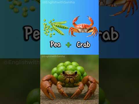 Literal Vs Reality English Compound Words Part 98