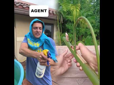 Loved it? Like, comment, subscribe! Let's have more fun. #Youtube #Pov #funny #shortsvideoyoutube