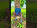 Vichekesho Vunja Mbavu
