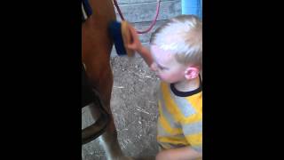 Brushing the pony