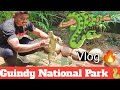 கிண்டி தேசியப் பூங்கா | Guindy National park | கிண்டி பாம்ப