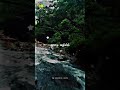 Ilamai Ennum Poongatru Song Ilaiyaraaja Melody Hits Spb Tamil Whatsapp Status Vibes