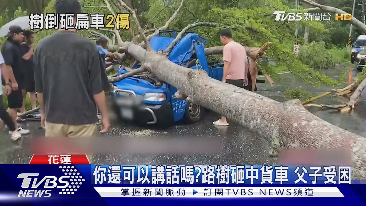 你還可以講話嗎?路樹砸中貨車 父子受困