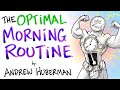 The Optimal Morning Routine - Andrew Huberman