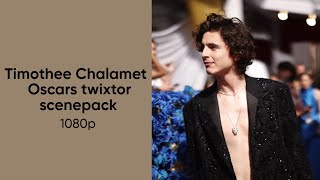 Timothée Chalamet Oscars twixtor scenepack