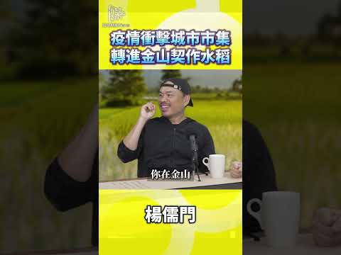 疫情衝擊市集後如何轉進金山契作水稻