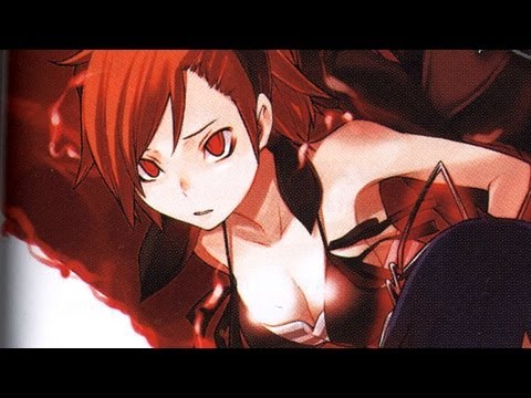 Shin Megami Tensei : Devil Survivor Nintendo DS