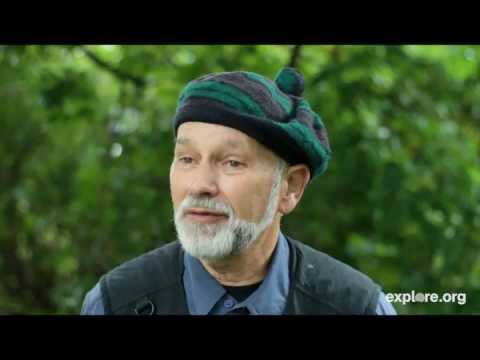 Osprey Fledging Described by Dr. Stephen Kress