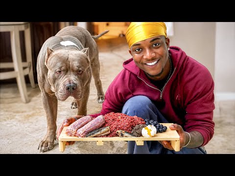 FEEDING MY 150 POUND PITBULLS!!! | ASMR DOG EATING