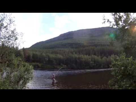 Karkuutus kismittää