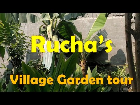 Rucha's Village Garden Tour | all types - vegetables, fruits n  flowers | like n share it