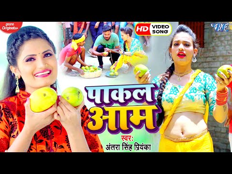 Pakal Aam — watch video