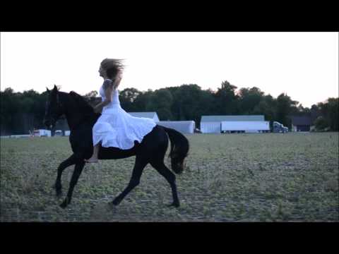 Silhouette Black Arabians Black and Jennifer