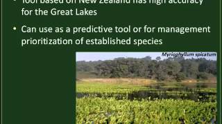Webinar: Science Behind Aquatic Invasive Plants: Organisms in Trade Webinar Series