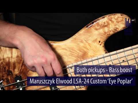 Maruszczyk Elwood L5A-24 Live Demo - BassFreaks.net