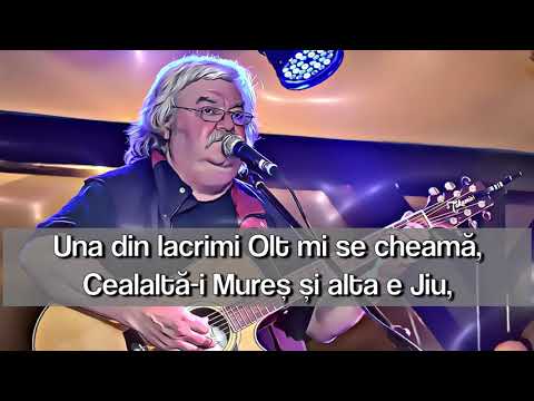 Adrian Ivanițchi - FISA PERSONALA | LYRICS - CU VERSURI