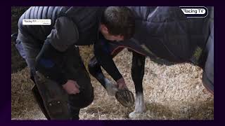 LIR SPECIALE - Latest update on the Racing TV x Raceshare Syndicate horse (23/03/24)