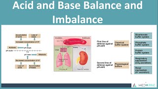 Acid-Base Balance and Imbalances Made Easy #biochemistry #medical