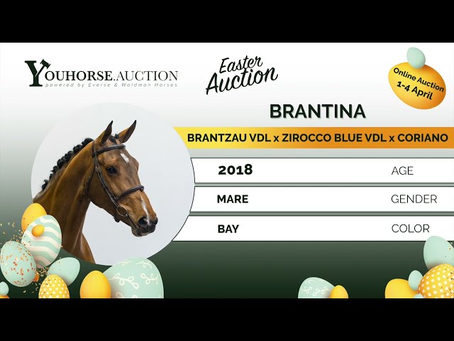 Brantina