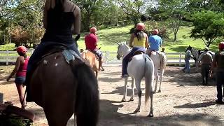 Borinquen Video