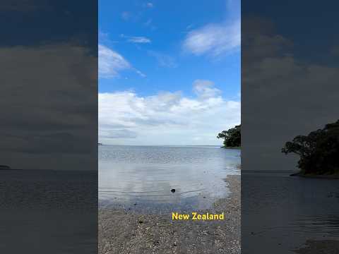 #foryou #newzealand #nature #sea #beach #morning #positivevibes #foryoupage #nz #fyp