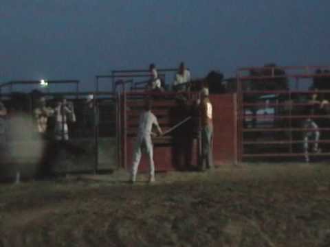 Lot #3283 - 4yr Old Son of Wrangler Rivet - Video 1 of 2