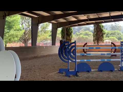 Quintago VA | Jump School, June 2020