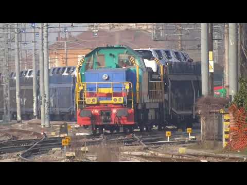 D146 2024 con la tradotta di auto da Alessandria Smistamento a Chignolo Pò