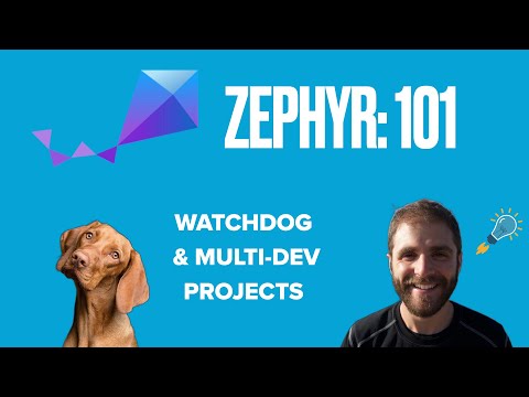 Zephyr 101 - Watchdog and Multi-dev Projects