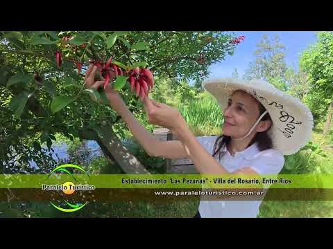 Establecimiento Las Pezuñas, Villa del Rosario ER - Programa Paralelo Turístico 963 Bloque 01