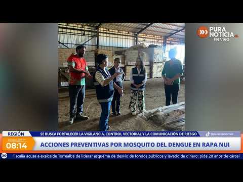 Seremi de Salud de Valparaíso refuerza en Rapa Nui acciones preventivas ante presencia del dengue