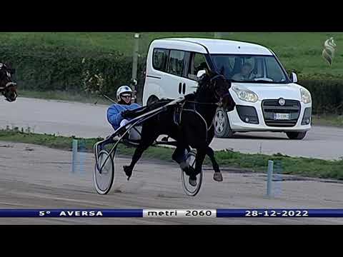 Aversa trotto 28 Dicembre 2022 - 5° Corsa
