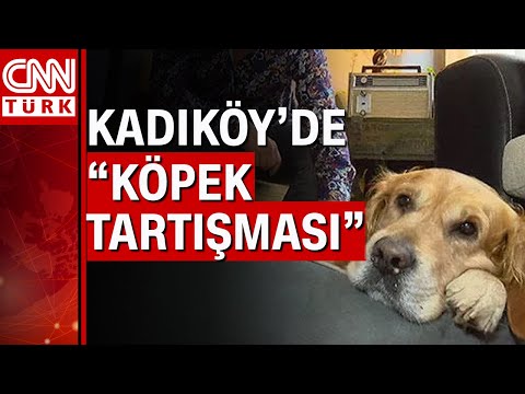 2 köpek birbirine girdi, sahipleri karakolluk oldu!