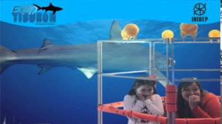 DIA 3 Expo Tiburon31