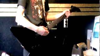 Rammstein - Weiner Blut (guitar cover)