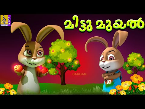 മിട്ടു മുയൽ | Mittu Muyal | Kids Animation Stories Malayalam