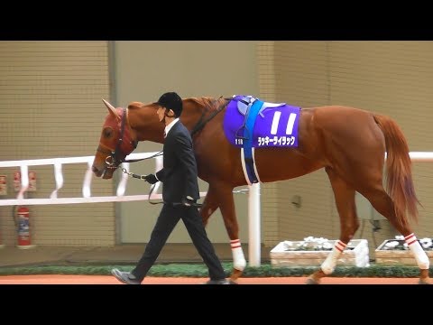 ラッキーライラック、阪神JFのパドック。現地映像、阪神競馬場
