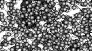 Madonna's Bombing Sarajevo( Alice Donut)