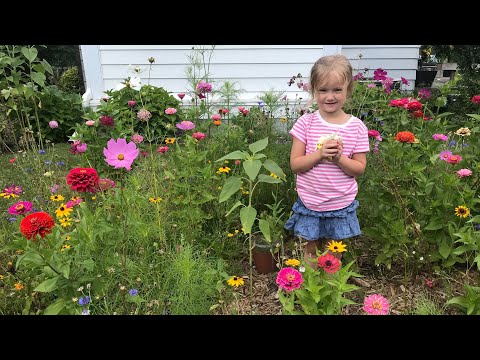 image-How long do wildflowers stay in bloom?