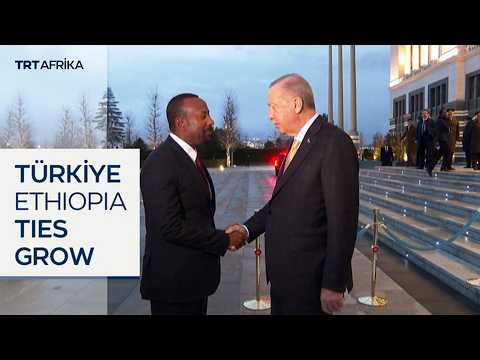 Turkish President Erdogan To Meet Ethiopian PM Ahmed In Addis Ababa