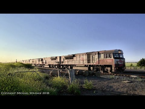 SCT 6PM9 With 5 Locomotives - PoathTV Australian Trains & Railways
