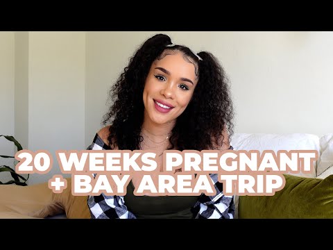 ✨ 20 WEEKS PREGNANT! + ROAD TRIP 👶🏽