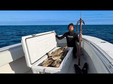 Last Call: Grouper Season Closer | Commercial Freediving