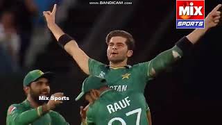 Pakistan VS Australia SemiFinal T20 World Cup 2021 Highlights #cricket #pakistan #australia #sports