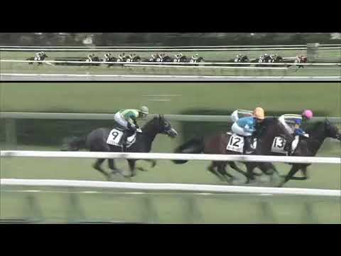 2019.09.29 2yo Newcomer (JPN) - Potager