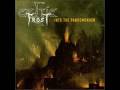 Celtic Frost - Caress Into Oblivion 