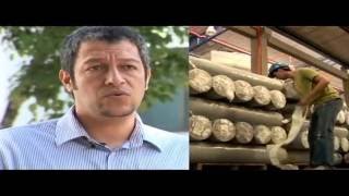 preview picture of video 'RFID en un centro de distribución textil - Caso COMERTEX - Colombia'