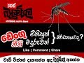 balumgala-29-08-2017