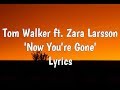 Tom Walker Ft Zara Larsson Now You Re Gone Lyrics